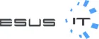 Logo sklepu Esus-it.pl