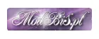 Logo ModBiS